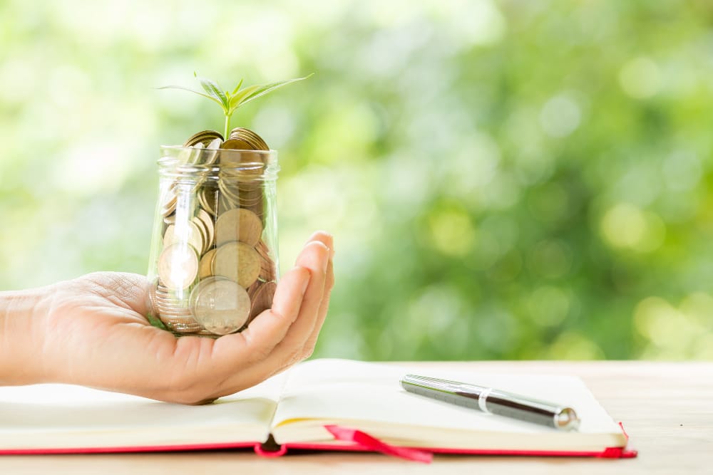 A hand is showed carrying savings and a plant growing on top showing how savings are an investment