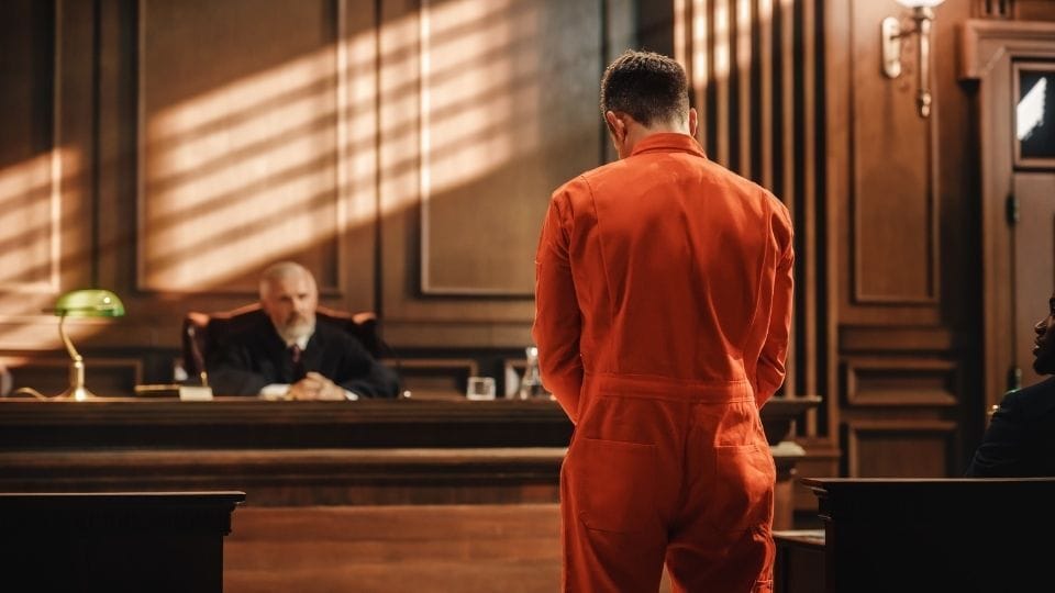 (In the image a client can be seen defending in terms of liability offences)
Strict liability in criminal law