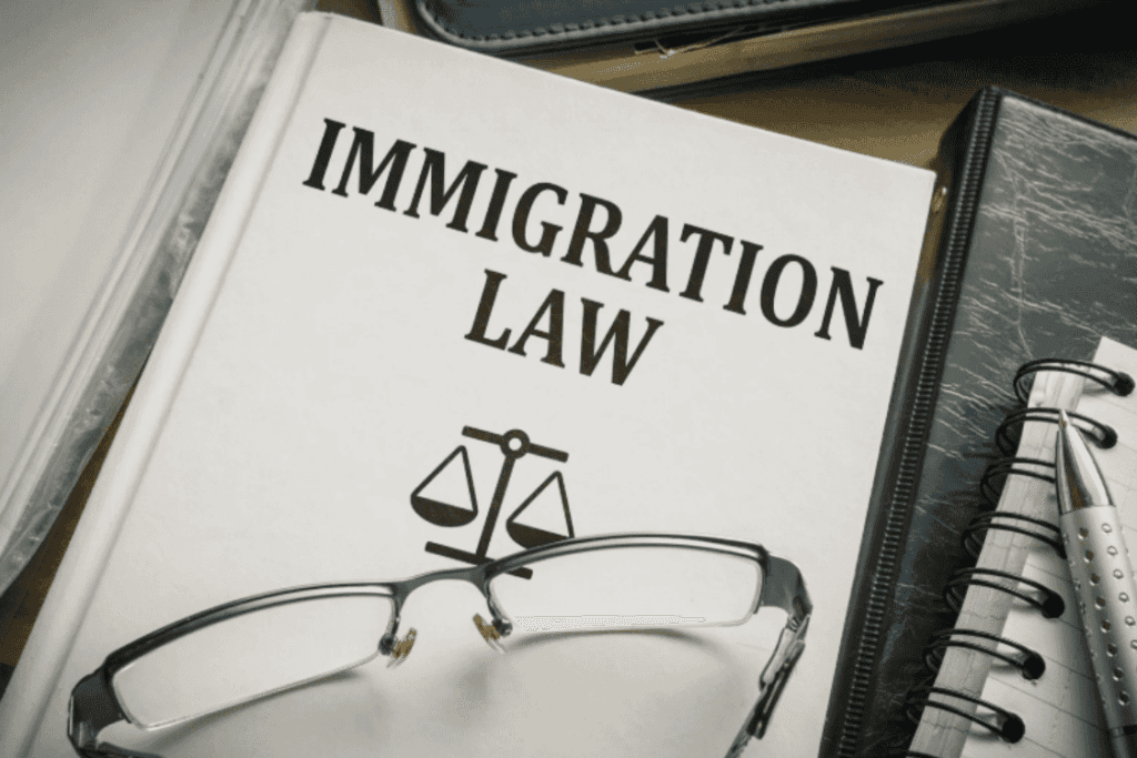 Immigration Law book on the 10 Year Route to UK Settlement